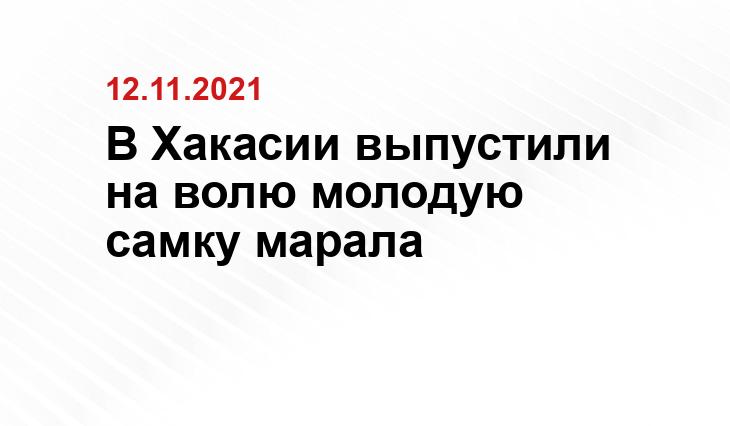 скриншот видео