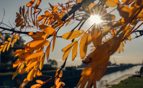 Новые цифры ноября-2025: как изменится соцподдержка граждан после индексации БПМ