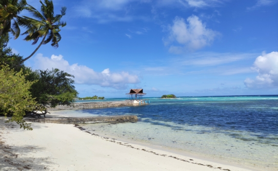 Отказы в брони вместо подтверждений: новогодний Вьетнам исчез из продаж – всего три курорта доступны