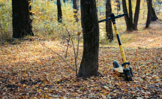 Политолог Гращенков указал на опасности распространения личных электросамокатов