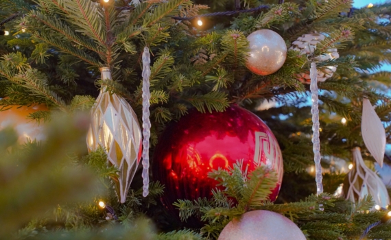 Треть россиян довольна 12-дневными каникулами, но почти половина против — скоро рекордные выходные