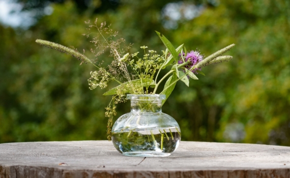 От жары к метелям: сезон рождения может влиять на настроение во взрослом возрасте