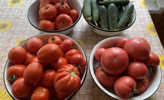 Что сначала нужно класть: лук или огурцы — правильная последовательность в салате Что сначала нужно класть: лук или огурцы — правильная последовательность в салате